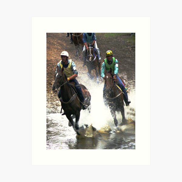 Item preview, Mountain Horse Racing at Noojee, Gippsland designed and sold by Bev Pascoe.