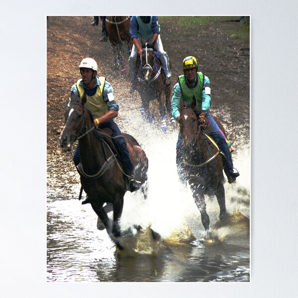 Item preview, Mountain Horse Racing at Noojee, Gippsland designed and sold by Bev Pascoe.
