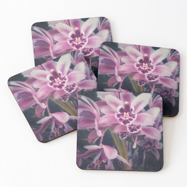 Item preview, Dads Orchid  designed and sold by Melville.Collective.
