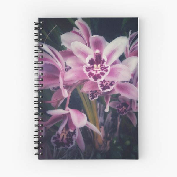 Item preview, Dads Orchid  designed and sold by Melville.Collective.