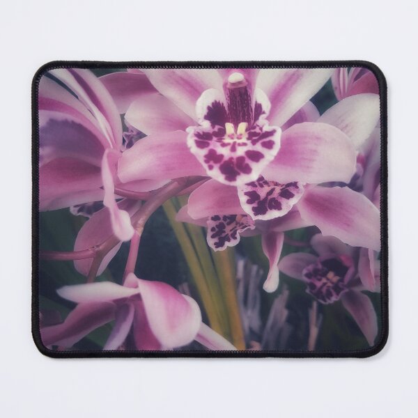 Item preview, Dads Orchid designed and sold by Melville.Collective.