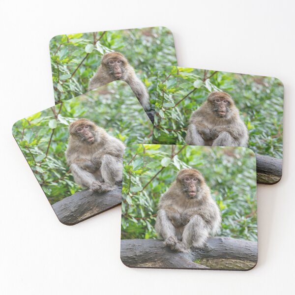 Item preview, Barbary Macaque Sitting on a Tree Branch designed and sold by David Patterson.