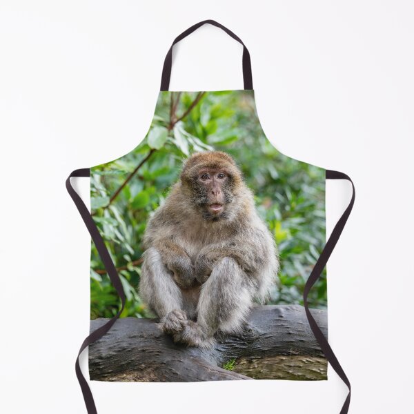 Item preview, Barbary Macaque Sitting on a Tree Branch designed and sold by David Patterson.