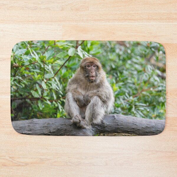 Item preview, Barbary Macaque Sitting on a Tree Branch designed and sold by David Patterson.