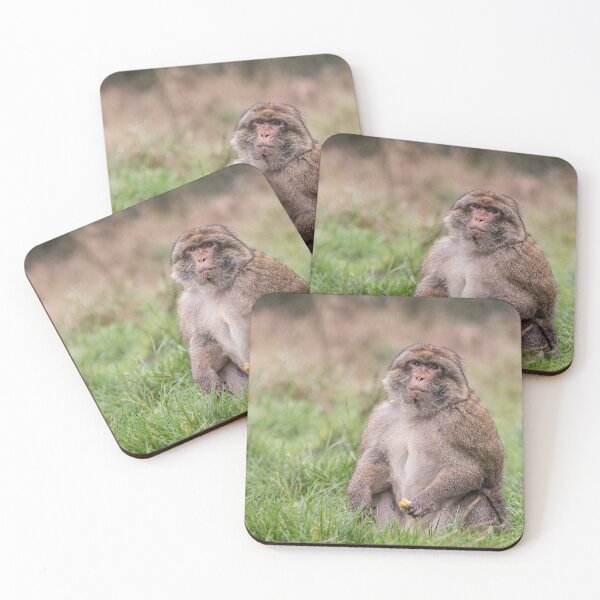 Item preview, Barbary Macaque Sitting in the Grass designed and sold by David Patterson.