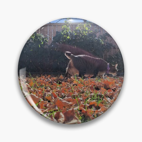 Item preview, A nice fall day designed and sold by alieneyedrops.