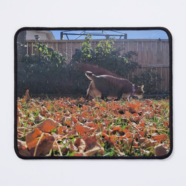 Item preview, A nice fall day designed and sold by alieneyedrops.
