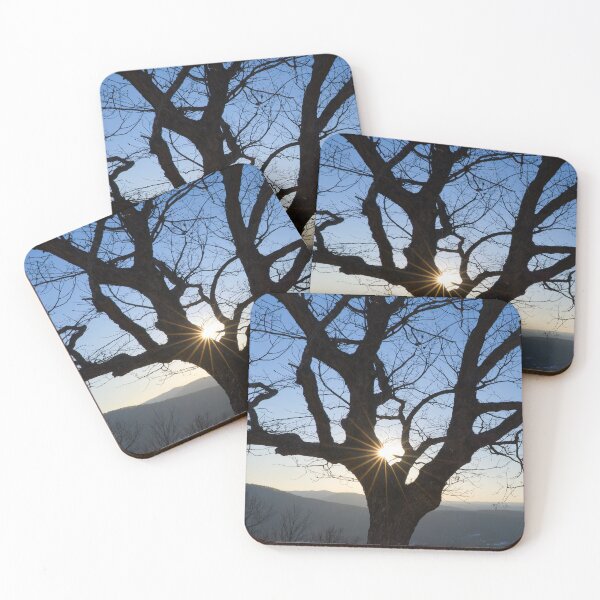 Item preview, Sunshine Through Tree designed and sold by Phil Perkins.