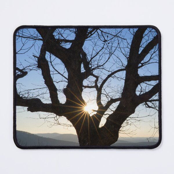 Item preview, Sunshine Through Tree designed and sold by Phil Perkins.