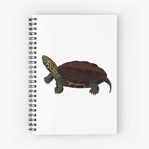 Item preview, Reeve's Turtle designed and sold by Rie-TortoTurtle.