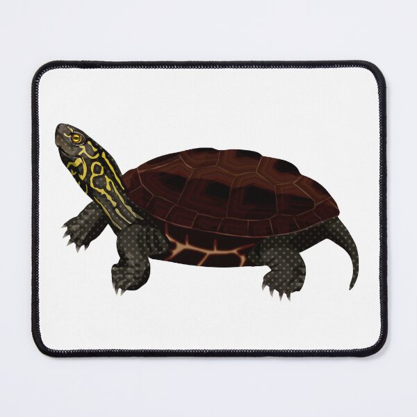 Item preview, Reeve's Turtle designed and sold by Rie-TortoTurtle.