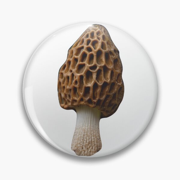 Item preview, Morchella Esculenta (Common Morel) designed and sold by alexandr-art.