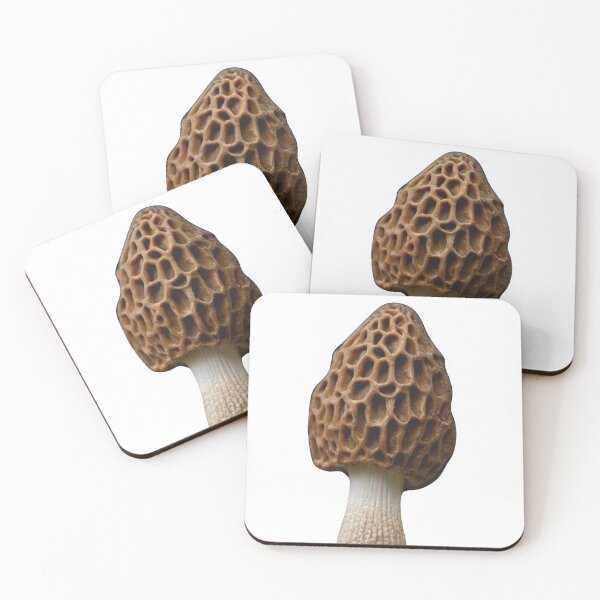 Item preview, Morchella Esculenta (Common Morel) designed and sold by alexandr-art.