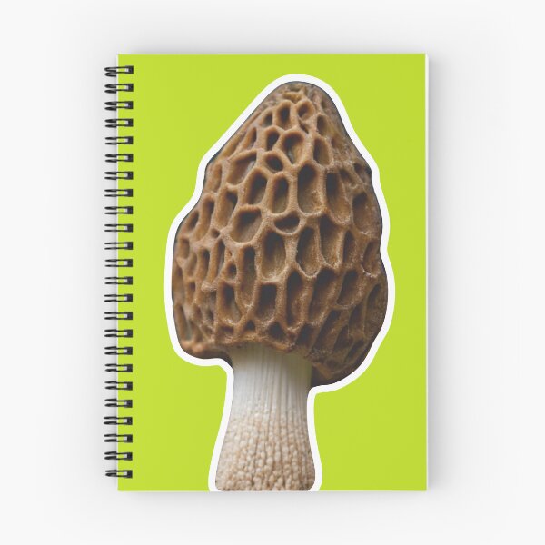 Item preview, Morchella Esculenta (Common Morel) designed and sold by alexandr-art.