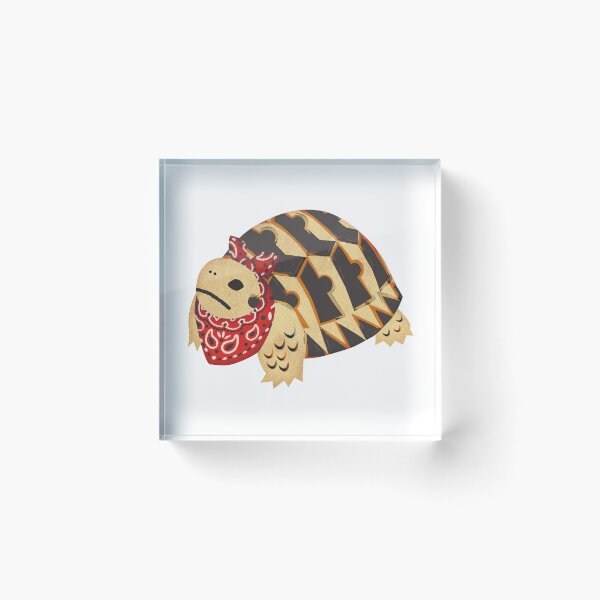 Item preview, Hermann's Tortoise designed and sold by Rie-TortoTurtle.