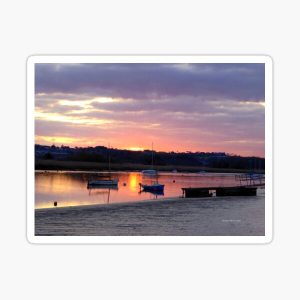 Topsham Estuary Sticker