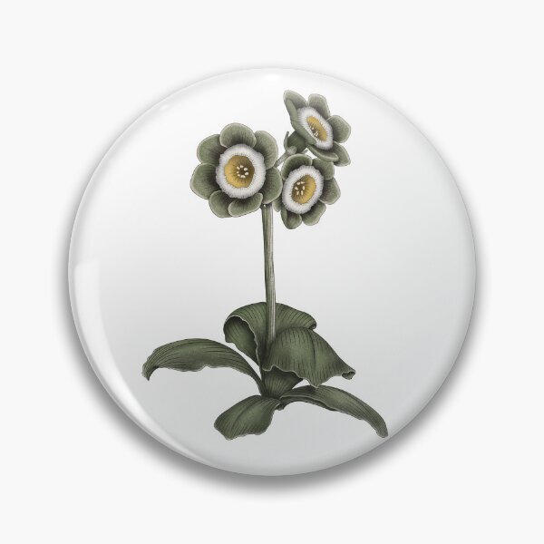 Item preview, Primrose Auricula - Primula Auricula designed and sold by TasiaZenzura.