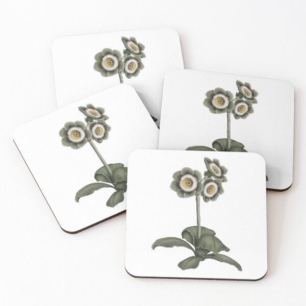Item preview, Primrose Auricula - Primula Auricula designed and sold by TasiaZenzura.