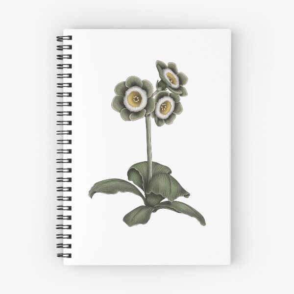 Item preview, Primrose Auricula - Primula Auricula designed and sold by TasiaZenzura.