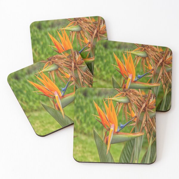 Item preview, Bird of paradise flower designed and sold by Photopat.