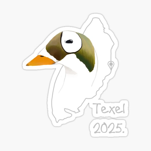 Aperçu de l'œuvre Eider à lunettes mâle adulte en plumage nuptial créée et vendue par AndrasVasasArt.