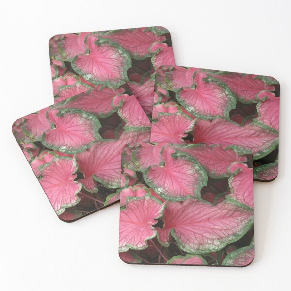 Item preview, Vibrant Caladium Leaves designed and sold by David Patterson.