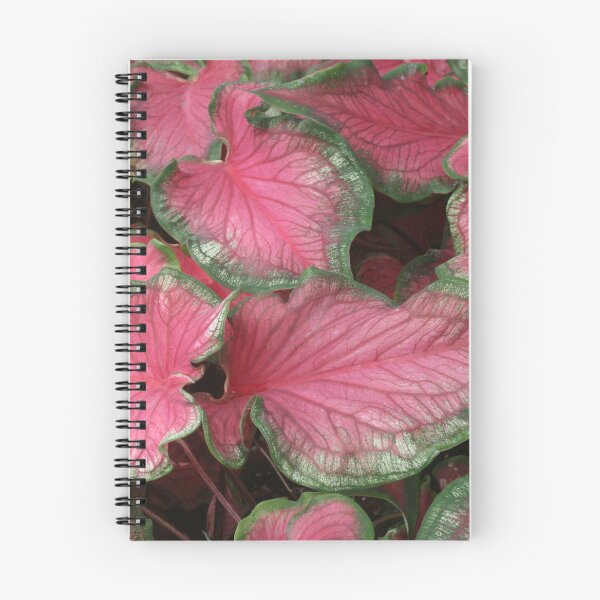 Item preview, Vibrant Caladium Leaves designed and sold by David Patterson.