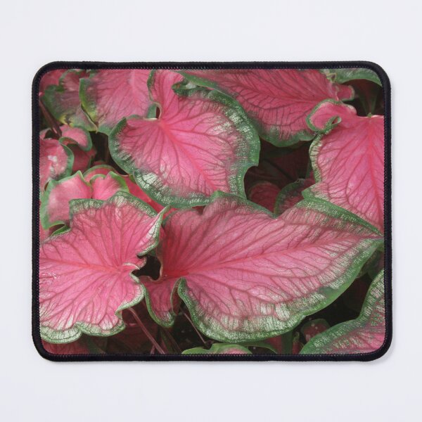 Item preview, Vibrant Caladium Leaves designed and sold by David Patterson.