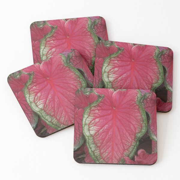 Item preview, Vibrant Caladium Leaf designed and sold by David Patterson.