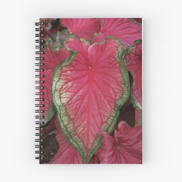 Item preview, Vibrant Caladium Leaf designed and sold by David Patterson.