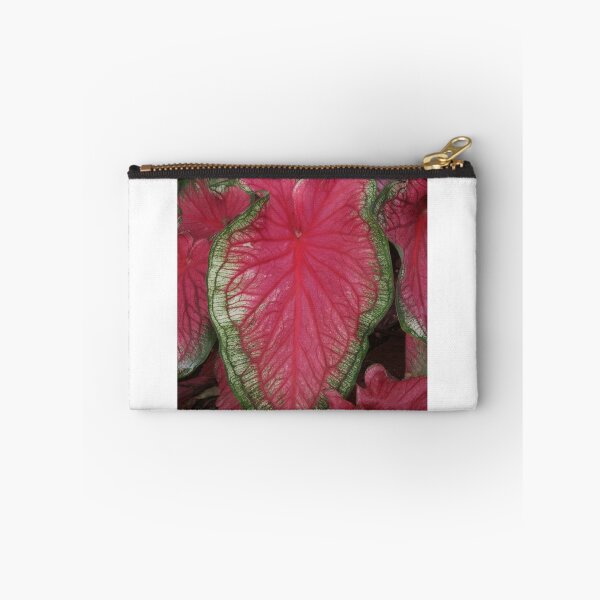Item preview, Vibrant Caladium Leaf designed and sold by David Patterson.
