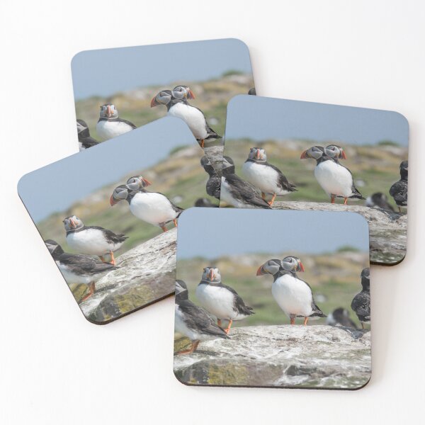 Item preview, Atlantic Puffins at the Farne Isles designed and sold by David Patterson.