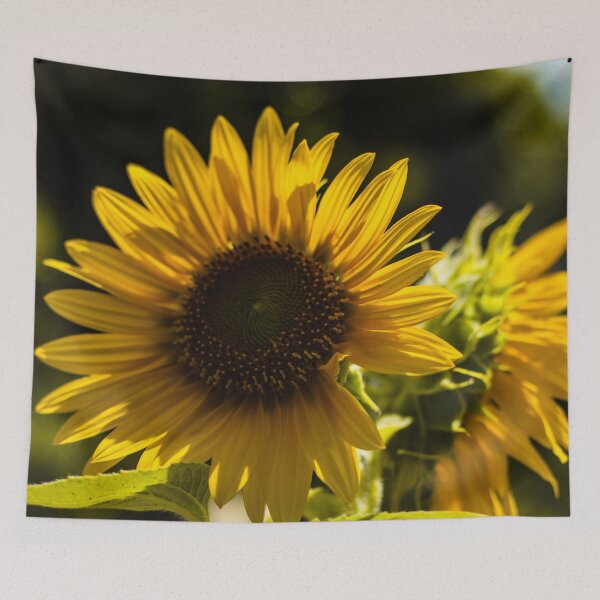 Item preview, Sunflower at Home 7 designed and sold by Geoff Treagus.