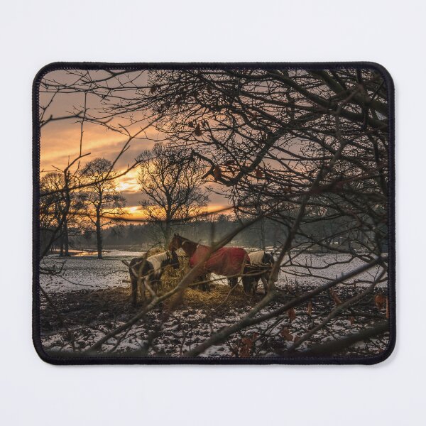 Item preview, Horses Grazing at Sunset in a Winter Landscape designed and sold by David Patterson.