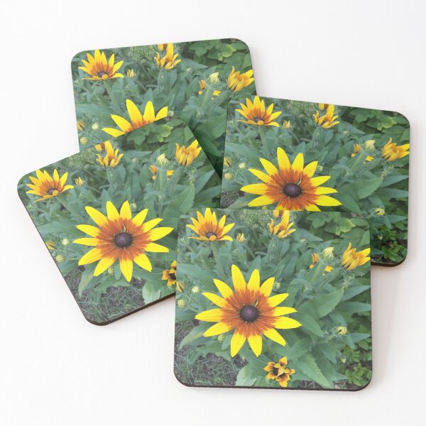 Item preview, black-eyed Susan designed and sold by Pike Island Outfitters .