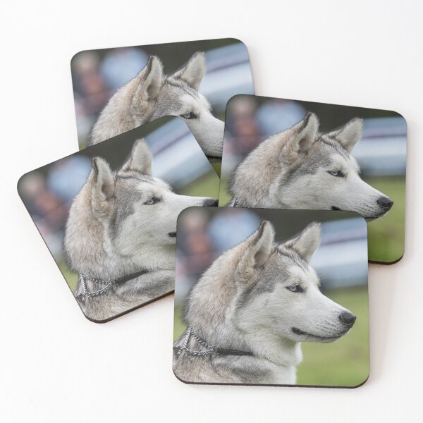 Item preview, Profile of a Siberian Husky designed and sold by David Patterson.