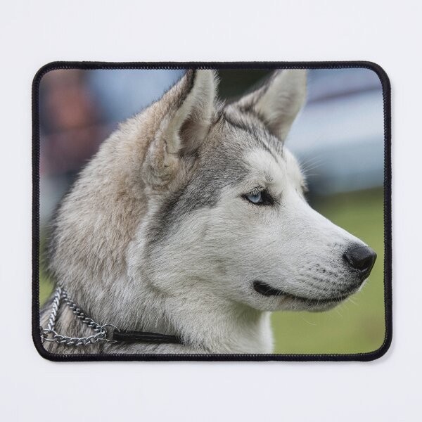 Item preview, Profile of a Siberian Husky designed and sold by David Patterson.
