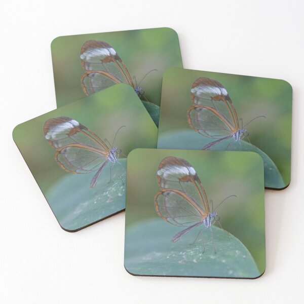 Item preview, Glasswing Butterfly's Subtle Elegance on a Leaf designed and sold by David Patterson.