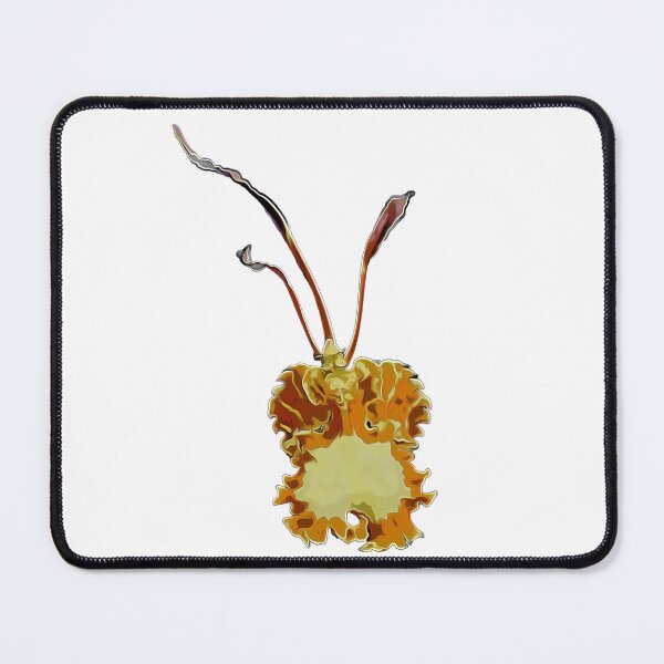 Item preview, Psychopsis Orchid designed and sold by Nicksplants.