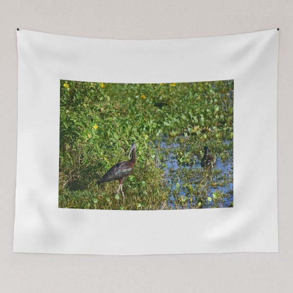 Item preview, Orlando Wetlands Park Glossy Ibis designed and sold by MercerImages.