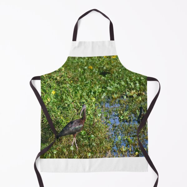 Item preview, Orlando Wetlands Park Glossy Ibis designed and sold by MercerImages.