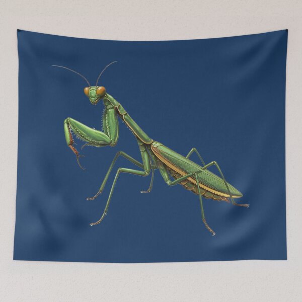 Item preview, Precision Predator: Praying Mantis designed and sold by Orca Chuckle Studios.