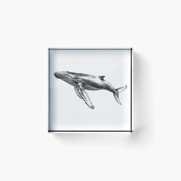 Item preview, Realistic Whale pencil drawing designed and sold by Pencil-Art.