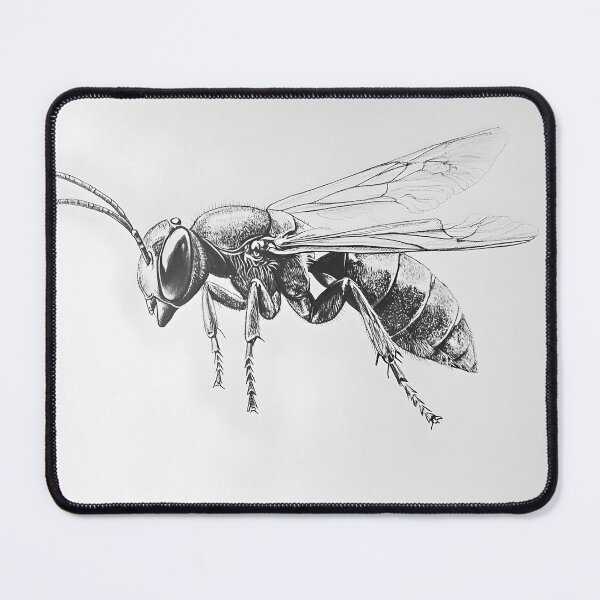 Item preview, Black and white wasp pencil drawing designed and sold by Pencil-Art.