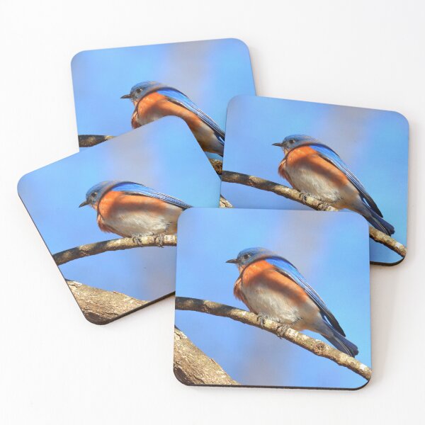 Item preview, Eastern Blue Bird  designed and sold by Parks and X.