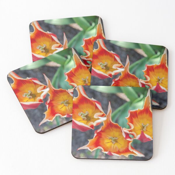 Item preview, Vibrant Parrot Tulips in Bloom designed and sold by David Patterson.