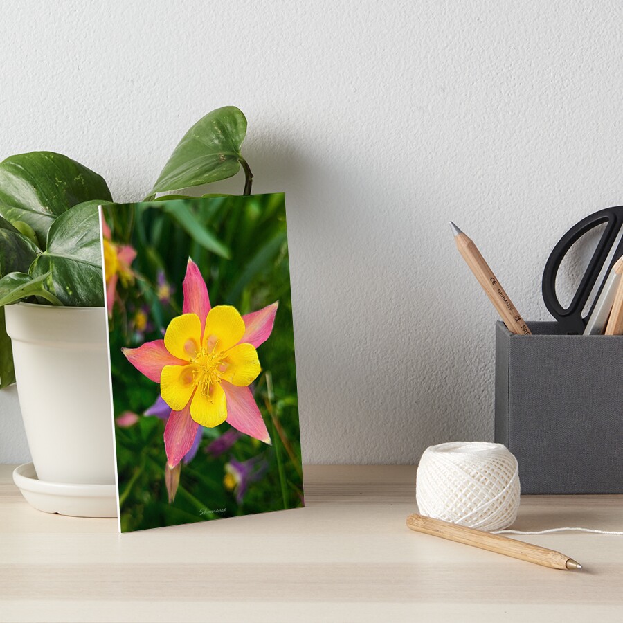 Item preview, Art Board Print designed and sold by RocDrAdventures.