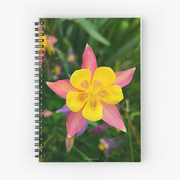 Item preview, Columbine Flower designed and sold by RocDrAdventures.