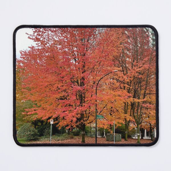 Item preview, Autumn Foliage #6 designed and sold by veraD58.