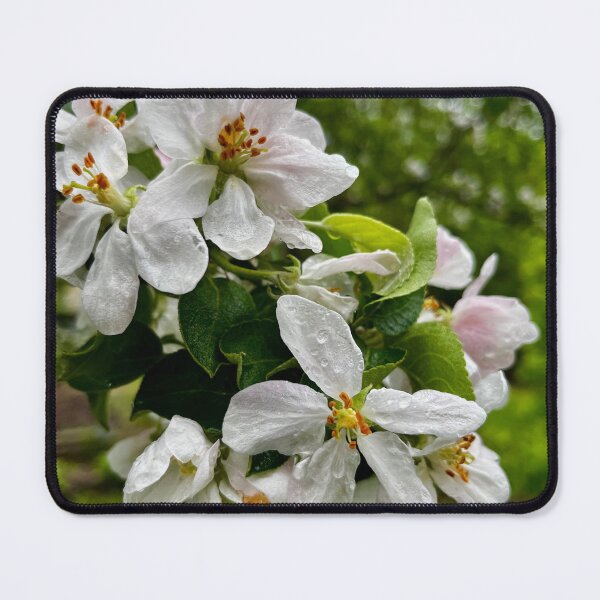 Item preview, Apple Blossoms designed and sold by Pike Island Outfitters .